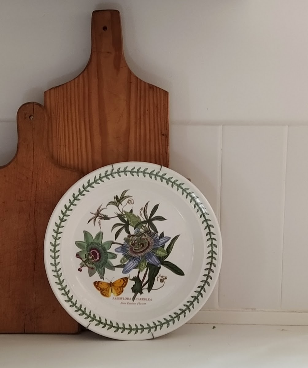 צלחת בוטנית פסיפלורה