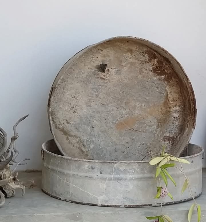 פיילה ענקית מפח