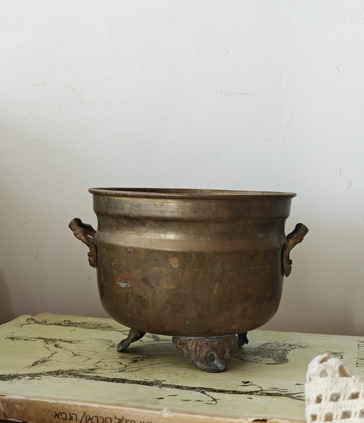 עציצי פליז